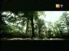 potterish_g4_tv___887.jpg