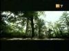 potterish_g4_tv___8_4~0.jpg