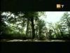 potterish_g4_tv___8_6~0.jpg