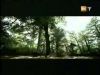 potterish_g4_tv___8__~1.jpg
