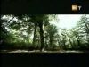 potterish_g4_tv____07.jpg