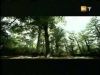 potterish_g4_tv____08.jpg