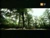 potterish_g4_tv____10.jpg