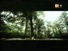 potterish_g4_tv____12.jpg