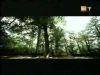 potterish_g4_tv____14.jpg