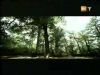 potterish_g4_tv____16.jpg
