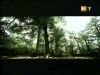 potterish_g4_tv____17.jpg