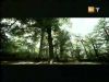 potterish_g4_tv____20.jpg