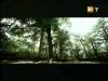 potterish_g4_tv____21.jpg
