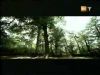 potterish_g4_tv____22.jpg