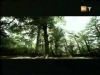 potterish_g4_tv____24.jpg