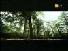 potterish_g4_tv____40.jpg