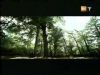 potterish_g4_tv____42.jpg