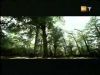 potterish_g4_tv____48.jpg