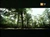 potterish_g4_tv____4_~0.jpg