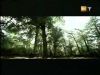 potterish_g4_tv____51.jpg