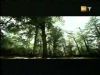 potterish_g4_tv____57.jpg