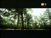 potterish_g4_tv____58.jpg