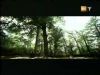 potterish_g4_tv_____8.jpg