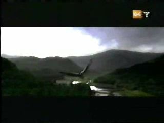 potterish_g4_tv__4007.jpg potterish_g4_tv__4007.jpg