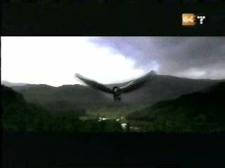 potterish_g4_tv__4042.jpg potterish_g4_tv__4042.jpg