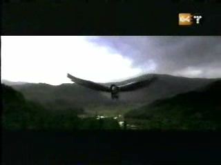 potterish_g4_tv__4044.jpg potterish_g4_tv__4044.jpg