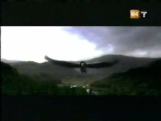 potterish_g4_tv__4046.jpg potterish_g4_tv__4046.jpg