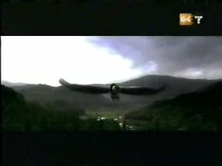 potterish_g4_tv__4048.jpg potterish_g4_tv__4048.jpg