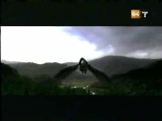 potterish_g4_tv__4056.jpg potterish_g4_tv__4056.jpg