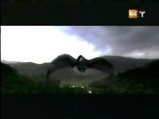 potterish_g4_tv__4064.jpg