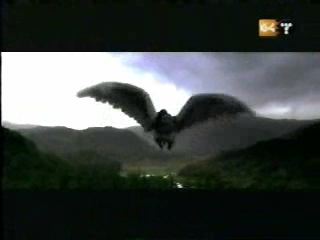 potterish_g4_tv__4068.jpg potterish_g4_tv__4068.jpg