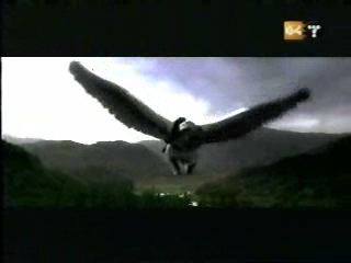 potterish_g4_tv__4077.jpg