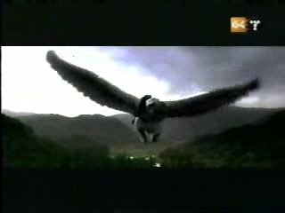 potterish_g4_tv__4078.jpg potterish_g4_tv__4078.jpg