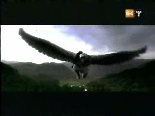 potterish_g4_tv__407_~0.jpg