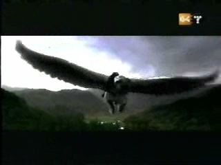 potterish_g4_tv__4080.jpg potterish_g4_tv__4080.jpg