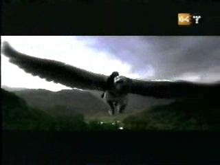 potterish_g4_tv__4082.jpg