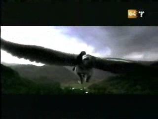 potterish_g4_tv__408_.jpg