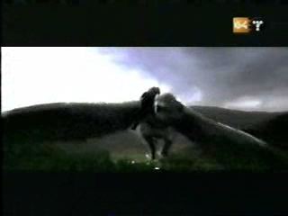 potterish_g4_tv__408_~0.jpg
