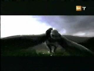 potterish_g4_tv__40_0~0.jpg