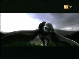 potterish_g4_tv__40_4~0.jpg