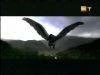 potterish_g4_tv__4074.jpg