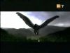 potterish_g4_tv__4075.jpg