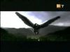 potterish_g4_tv__4076.jpg