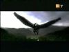 potterish_g4_tv__4077.jpg
