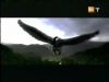 potterish_g4_tv__4078.jpg