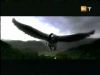 potterish_g4_tv__407_~0.jpg
