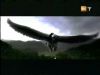 potterish_g4_tv__4080.jpg