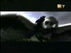 potterish_g4_tv__4100.jpg