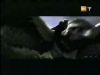 potterish_g4_tv__410_.jpg
