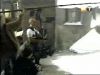 potterish_g4_tv__4265.jpg